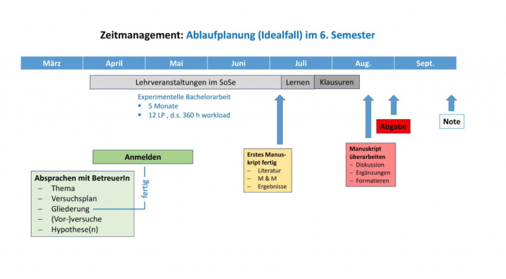 Bachelorarbeit